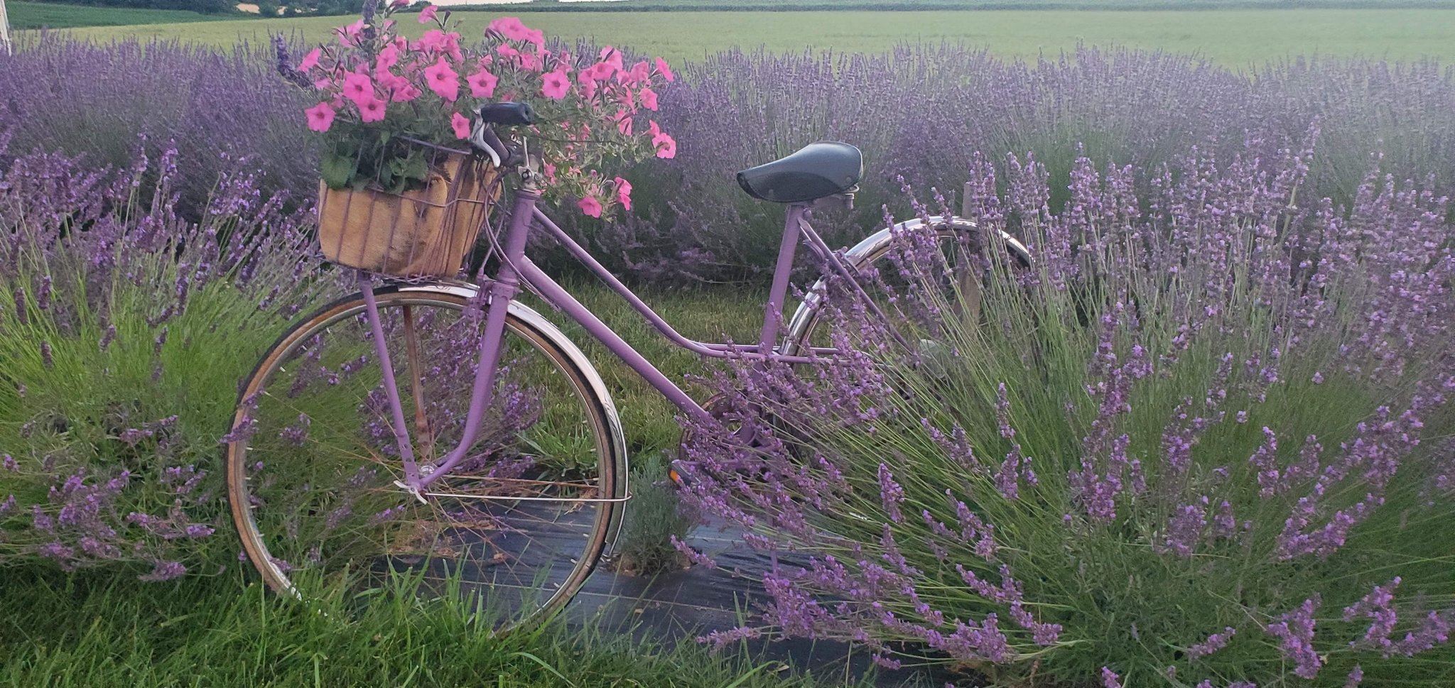 Farm Bike